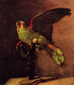 Зеленый попугай 1886 осень
